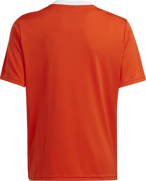 Image du produit adidas Team Icon 23 Maillot (176)