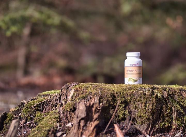 Immagine prodotto Kingnature Probiotico Vida (1 Pezzo/i, Polvere, 90 g)