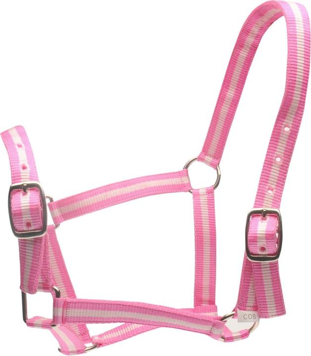 Roma Horse halter and lead rope set