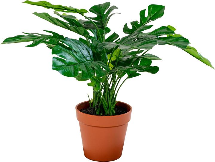 Produktbild House Nordic Monstera (45 cm)