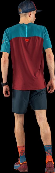 Produktbild Dynafit Alpine Pro Short Sleeve Shirt (L)