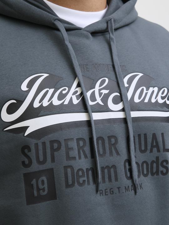 Actual product image Jack & Jones JJELOGO SWEAT HOOD 2 COL 24/25 NOOS PLS (8XL)