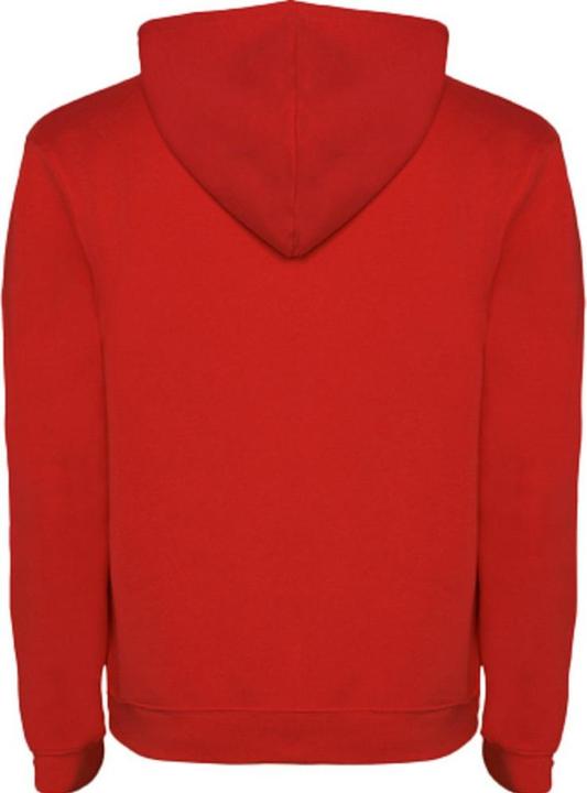 Immagine prodotto Alpinia Urban Felpa con Cappuccio Uomo (XS)