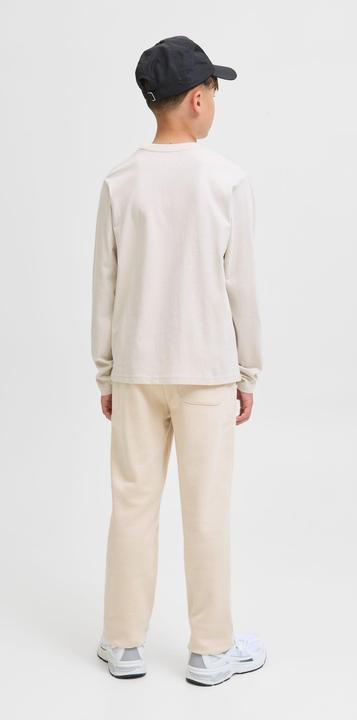 Actual product image Jack & Jones Relaxed Fit Hosen Junior Relaxed Fit Hosen (176)
