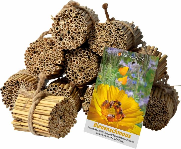 Dobar Set di gambi di canne (Ape, Api)