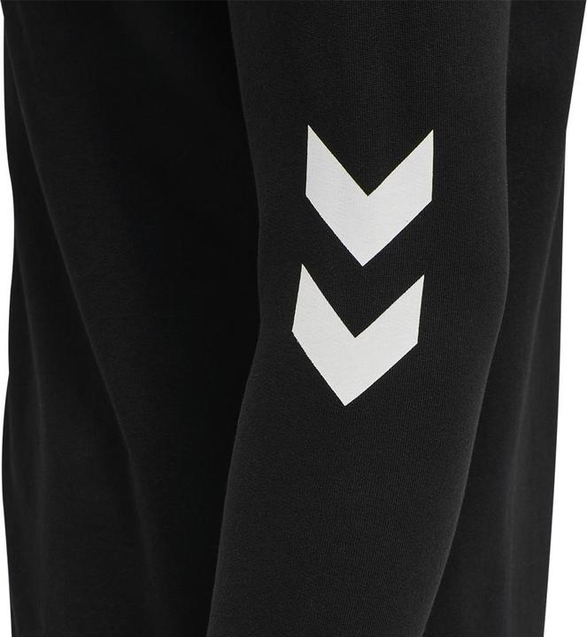 Actual product image hummel Legacy Zip Hoodie (L)