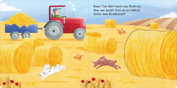 Produktbild Klapp auf – schau rein: Bauernhof (Deutsch, Marta Costa, 2021)