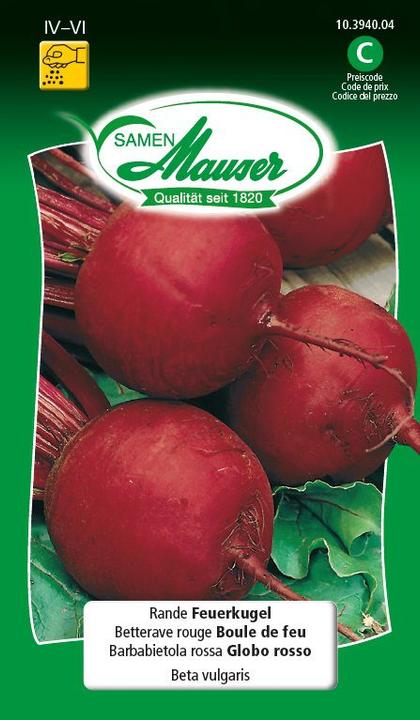 Actual product image Samen Mauser Edge fireball (Vegetable seeds)