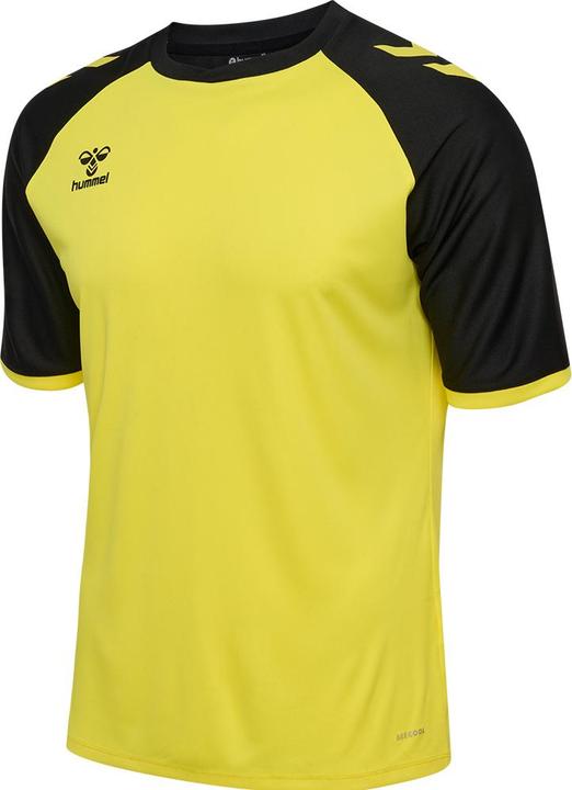 blazingyellowblack