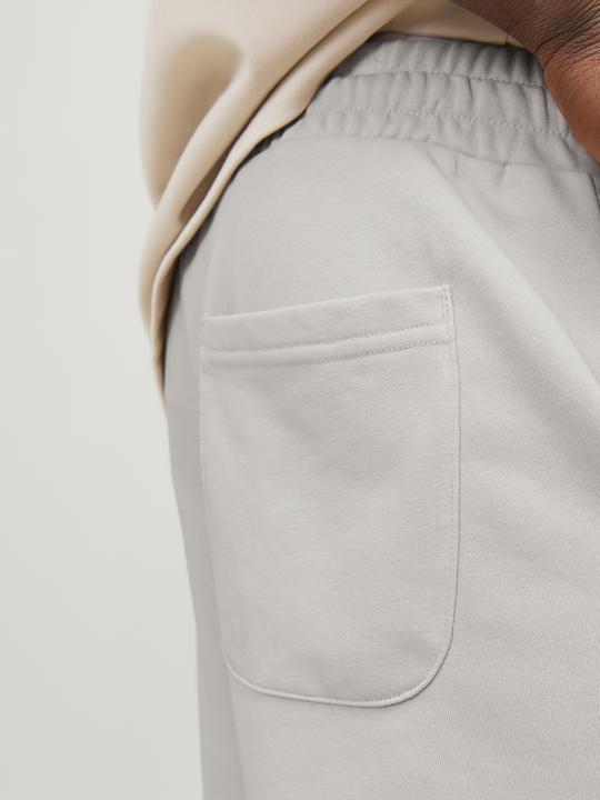 Actual product image Jack & Jones Jpstkane Jjvesterbro Sweat Shorts Gms Sn (L)