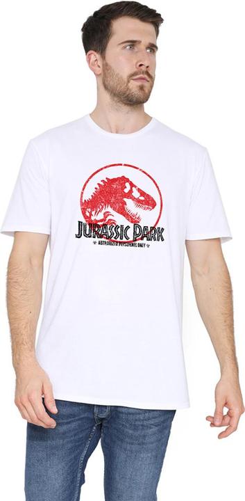 Actual product image Jurassic Park TShirt (L)