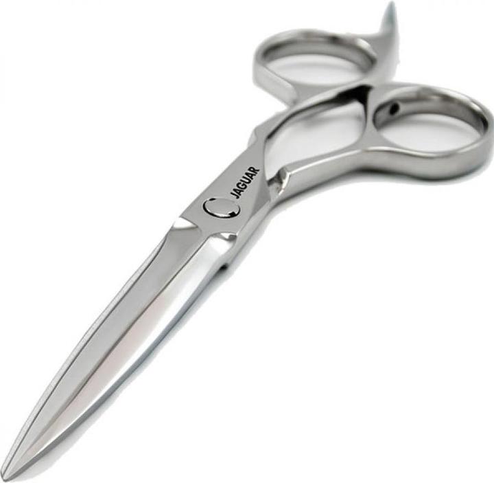 Immagine prodotto Jaguar Airone (13.97 cm)