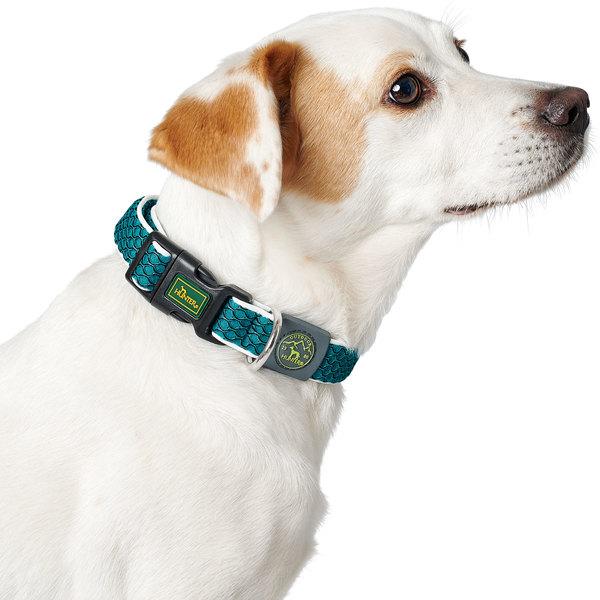Produktbild Hunter Hundehalsband Hilo Vario Basic (M, L, Hund, Allgemein)