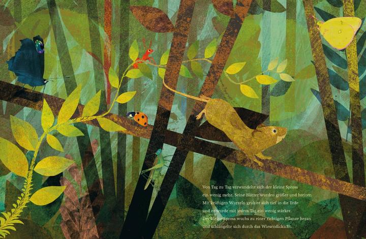 Productafbeelding Der kleine Spross (Duits, Britta Teckentrup, 2020)