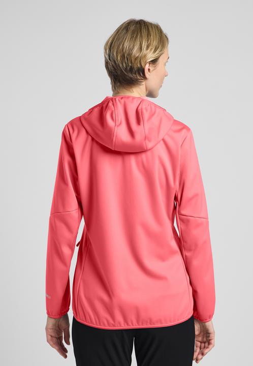 Actual product image Jack Wolfskin Feldberg Hoody W (S)