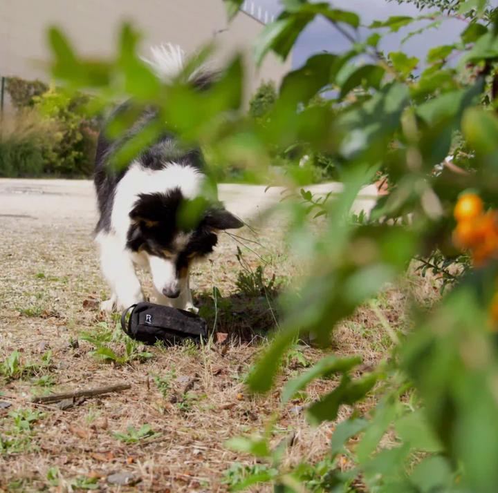Produktbild Redoggo Futterdummy (Snackbeutel Hund)