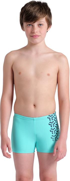 Actual product image Arena B Kikko V Swim Short Graphic (164)