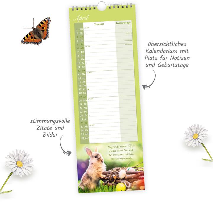 Produktbild TrötschMaxi-StreifenkalenderOmasKalender2026 (Deutsch)