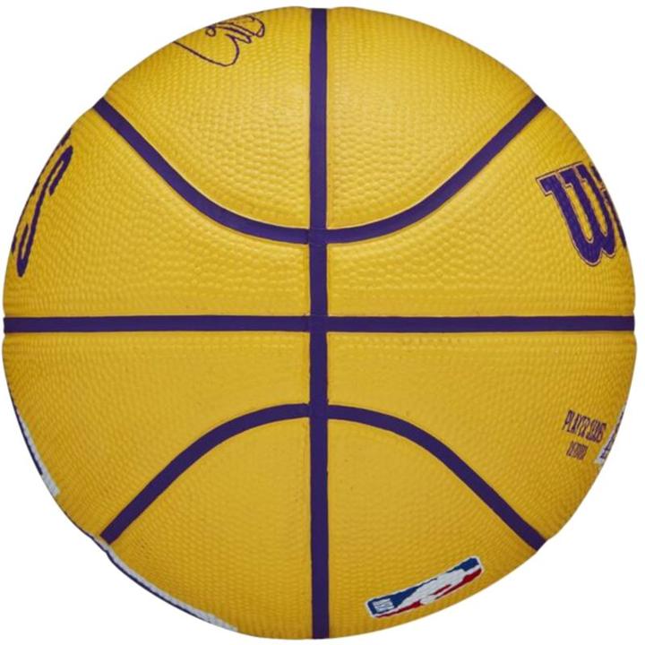 Produktbild Wilson Nba Player Icon Mini Bskt Curry (3)