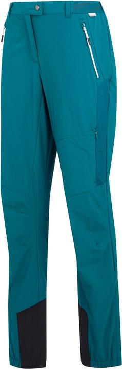 Actual product image Regatta Womens/Ladies Mountain III Walking Trousers (34)