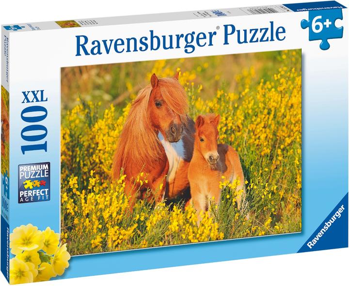 Produktbild Ravensburger Shetlandponys (100 Teile)