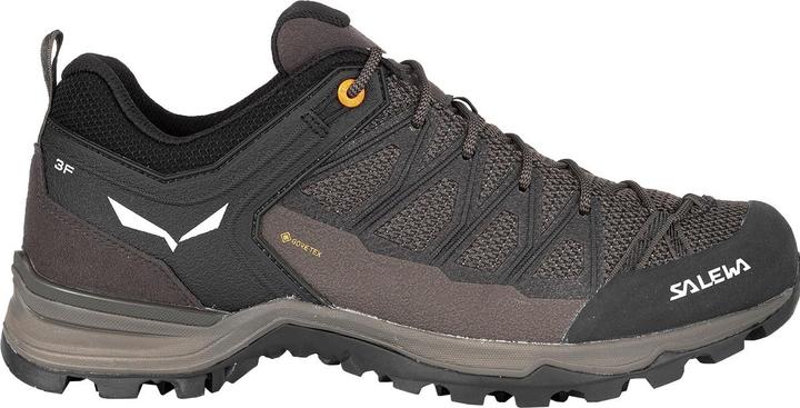 Produktbild Salewa MTN Trainer Lite GTX (40.5)