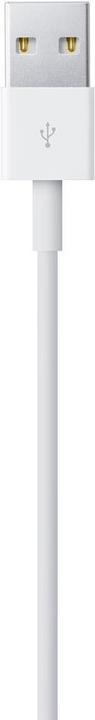 Actual product image Apple Lightning – USB A (1 m, USB 2.0)