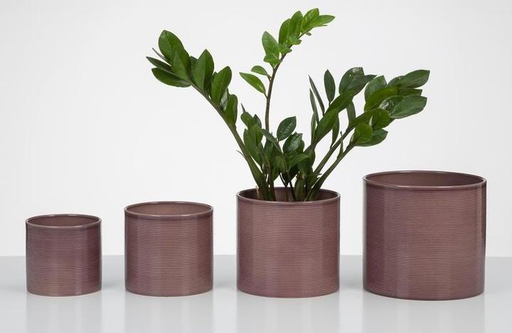 Produktbild Scheurich Aubergine (16 cm)