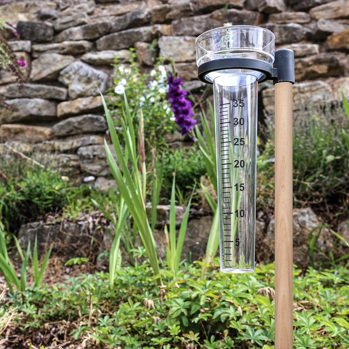 Actual product image Lantelme Rain gauge