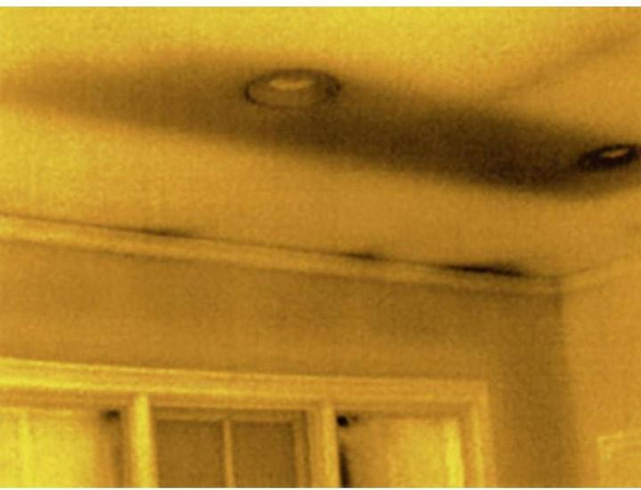 Actual product image SeeK UQ-AAAX Thermal Imaging Camera Pixel