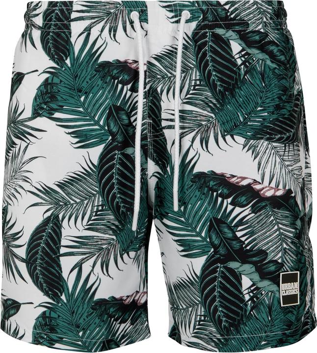 Palm leaves