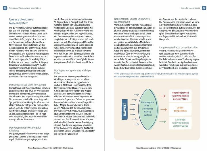 Produktbild Neurogenes Zittern (Deutsch, Hildegard Nibel, Kathrin Fischer, 2024)
