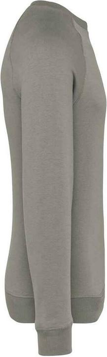 Produktbild Native Spirit Sweatshirt Raglanärmel (XS)