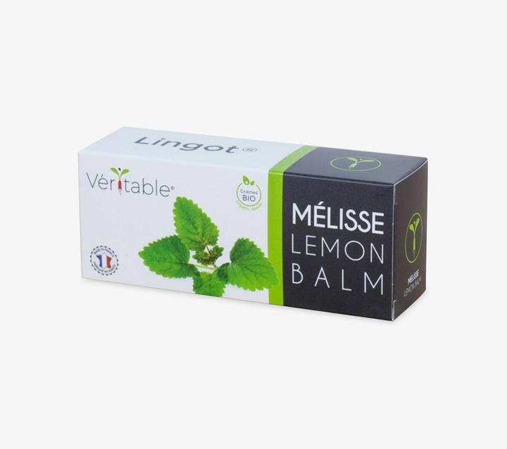 Image du produit Véritable Menthe bio (Graines d'herbes aromatiques)