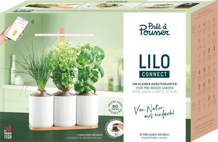 Image du produit Prêt à Pousser Lilo Connect (13.50 cm)