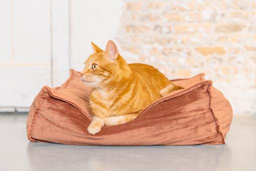 Produktbild Designed by Lotte Katzenkissen Velveti (Katze)