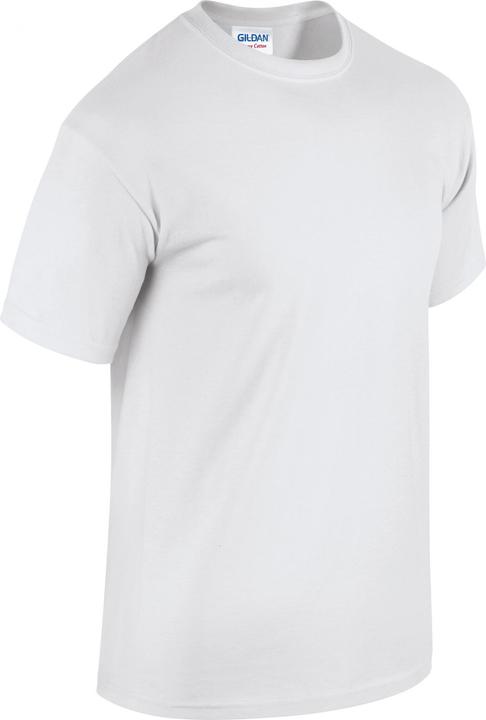 Gildan T-Shirt (4XL)