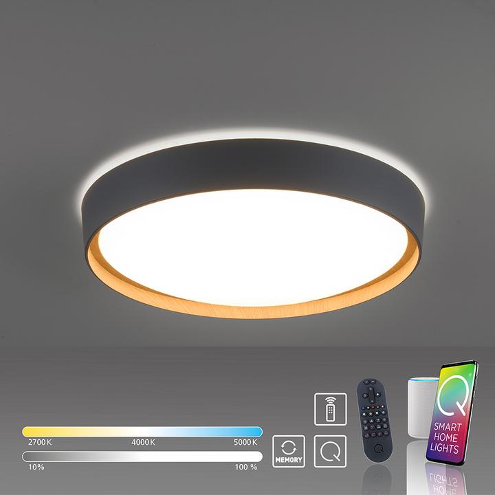 Produktbild Neuhaus NEUH LED-Deckenleuchte LB22 (1500 lm)