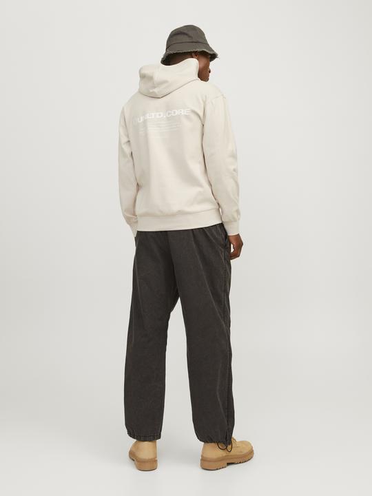 Immagine prodotto Jack & Jones Jcoaero Print Sweat Hood Noos (XS)
