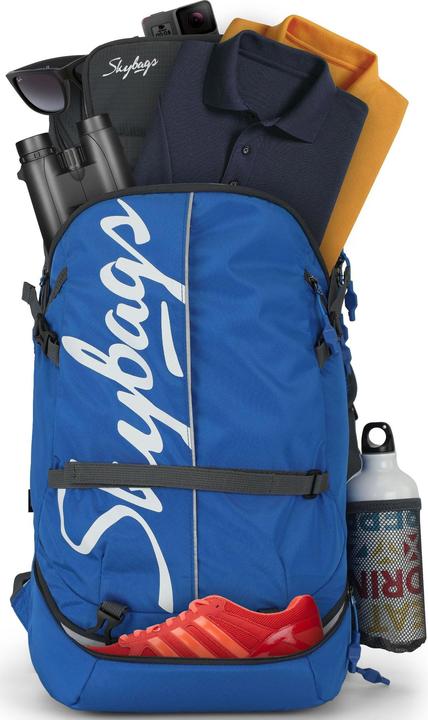 Actual product image Skybags Bags - 101424
