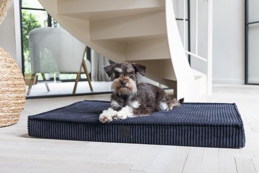 Productafbeelding Designed by Lotte Orthopedisch kooikussen Geribd (Hond)
