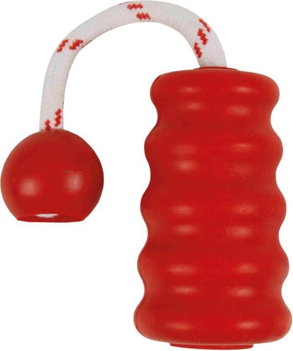 Image du produit Trixie Dog Activity Mot-Fun 9cm/22cm (Apporter)
