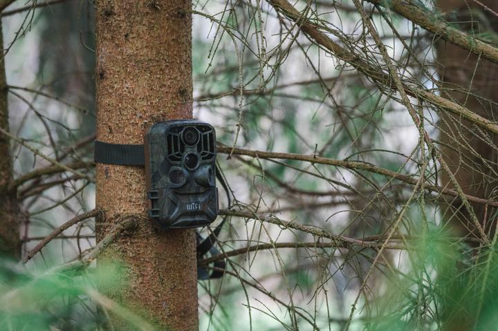 Produktbild Braun Photo Scouting Cam Black800