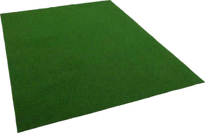 Actual product image Snapstyle Kunstrasen Rasenteppich mit Noppen Kingston (50 x 400 cm)