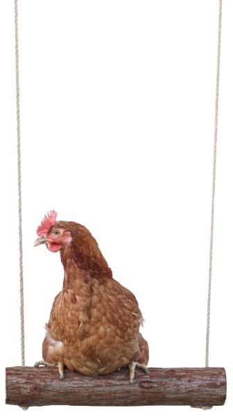Actual product image Kerbl Chicken swing 39 x Ø 5cm