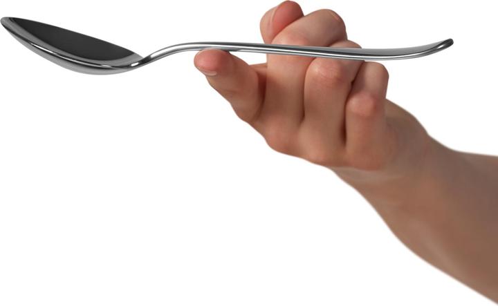 Actual product image WMF Merit (1 Piece, Scoops)