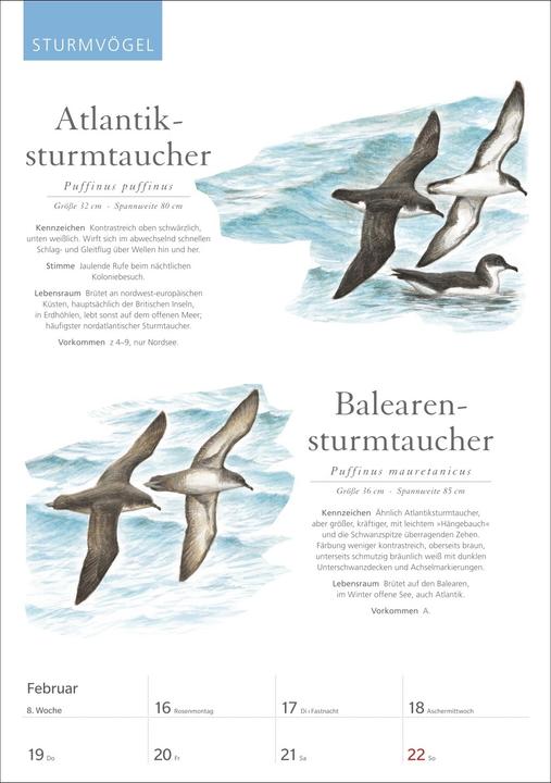 Produktbild Harenberg KOSMOS Was fliegt denn da? Wochenplaner 2026 - Der Kalender zum KOSMOS-Naturführe (Deutsch)
