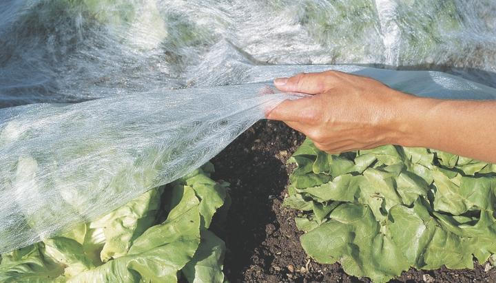 Image du produit Windhager Toison de jardin