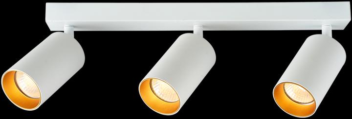 Image du produit Tracon Projecteurs de plafond (GU10)
