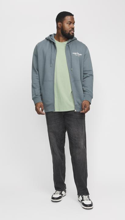 Image du produit Jack & Jones Jjebradley Graphic Tee Ss O-Neck Sn Pls (XXL)